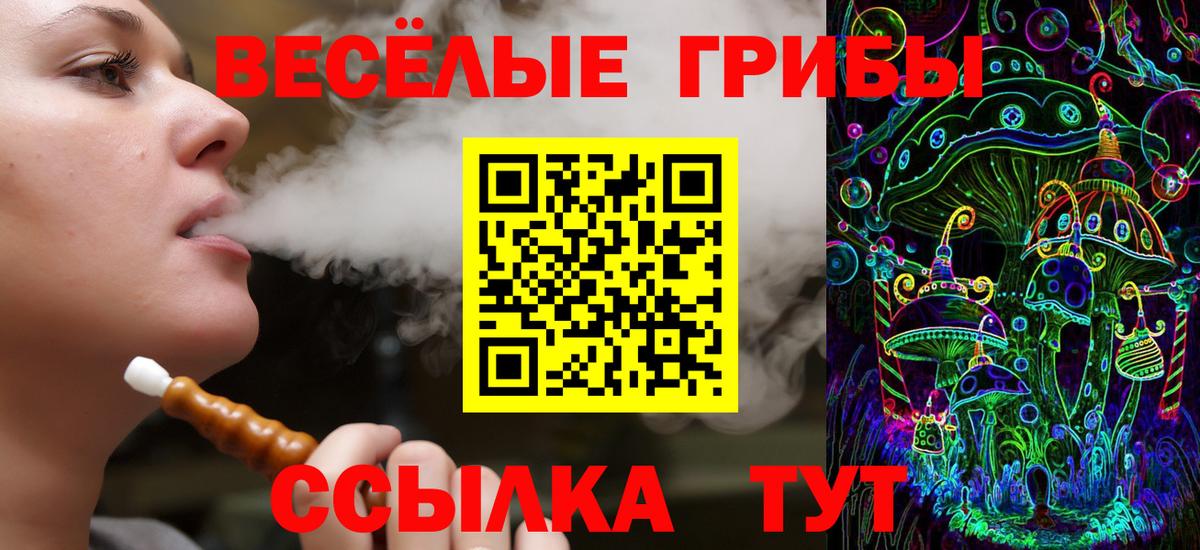 Псилоцибиновые грибы прущие грибы  дарнет шоп  Вязники  Вход с VPN 